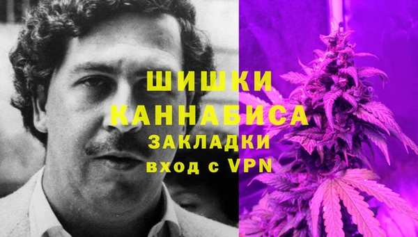 PSILOCYBIN Белокуриха